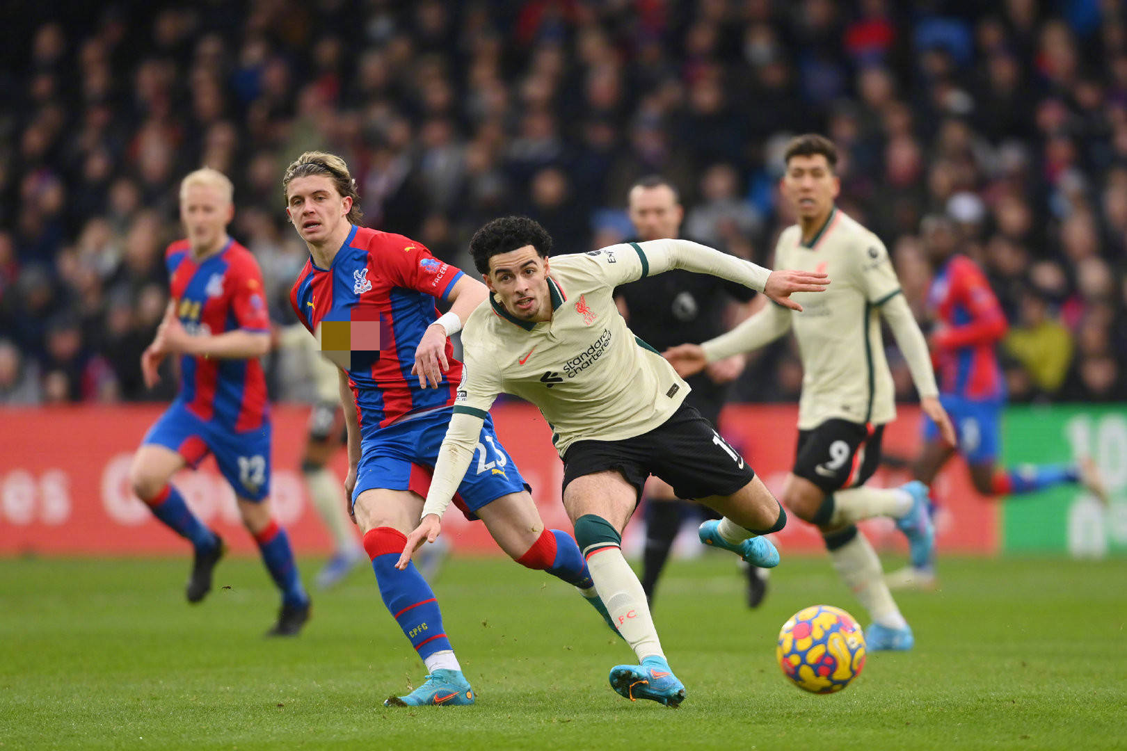 利和奥赖利 利和奥赖利