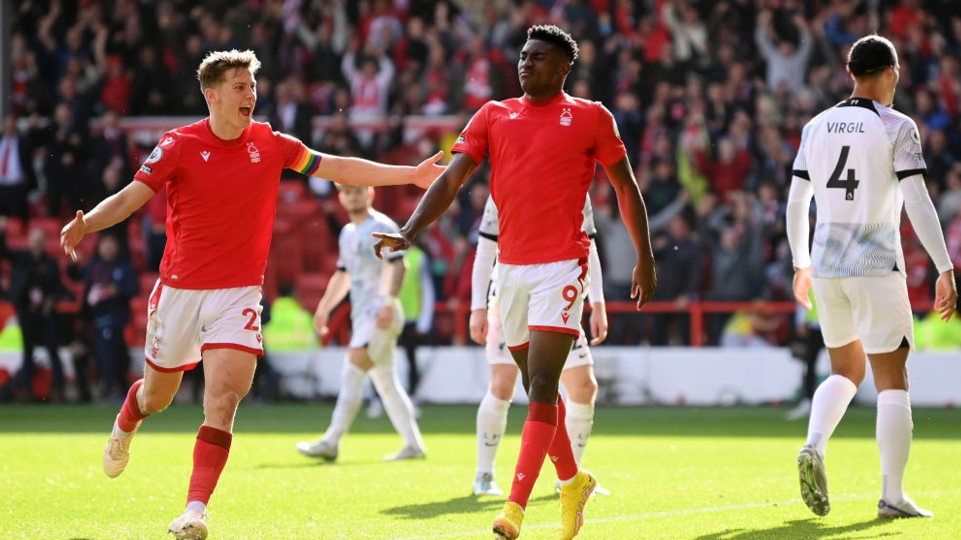 不仅以其卓 不仅以其卓